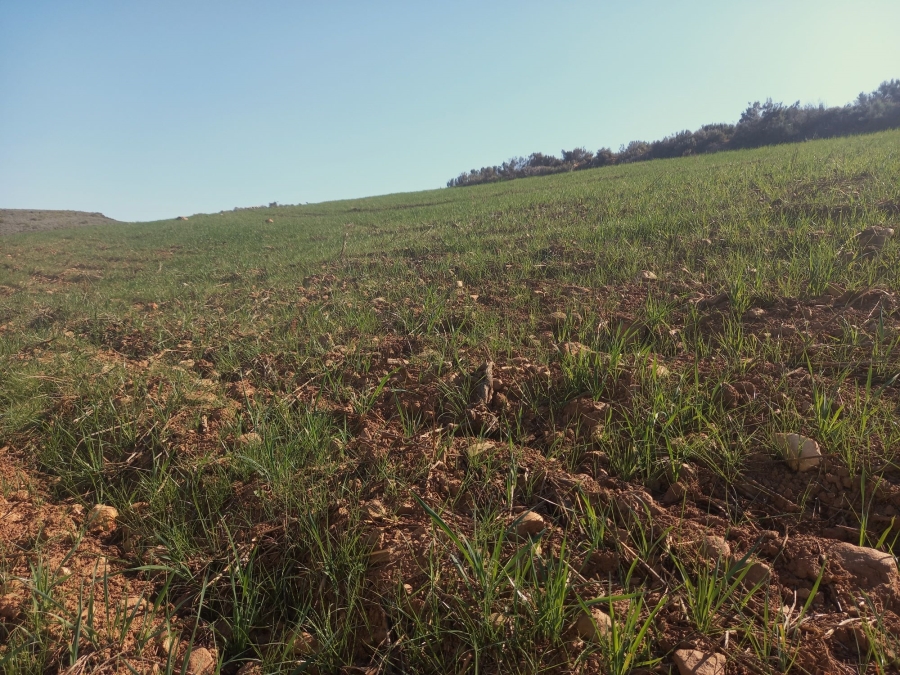 Commercial Property for Sale in George Rural Western Cape